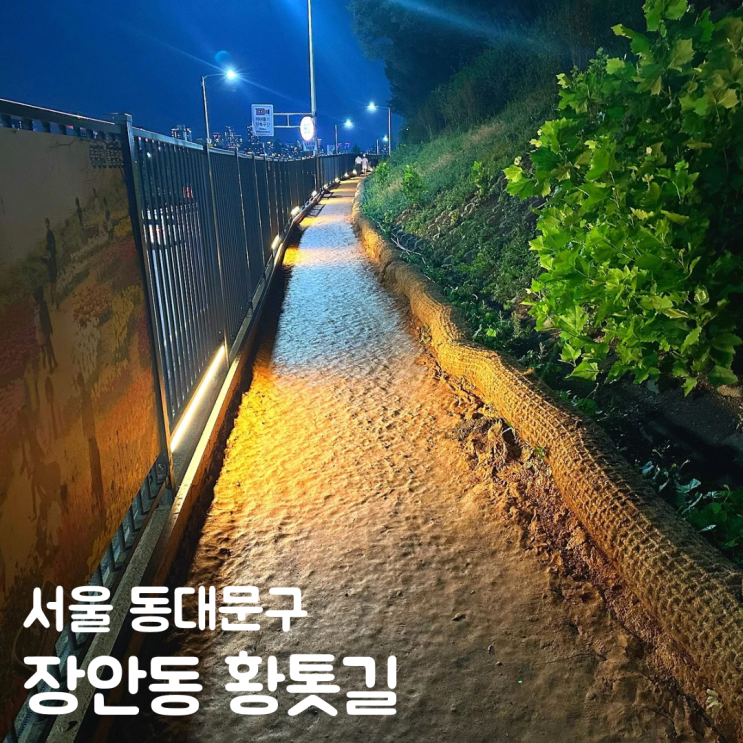  서울 힐링 데이트 중랑천 장안동 황톳길 산책 야경