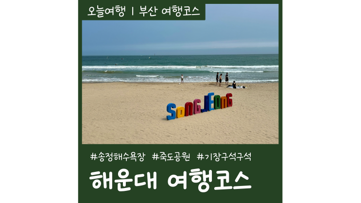 부산 여행코스 해운대 송정해수욕장부터 죽도공원 기장까지 가볼만한곳 부산 여행코스 해운대 송정해수욕장부터 죽도공원 기장까지 가볼만한곳
