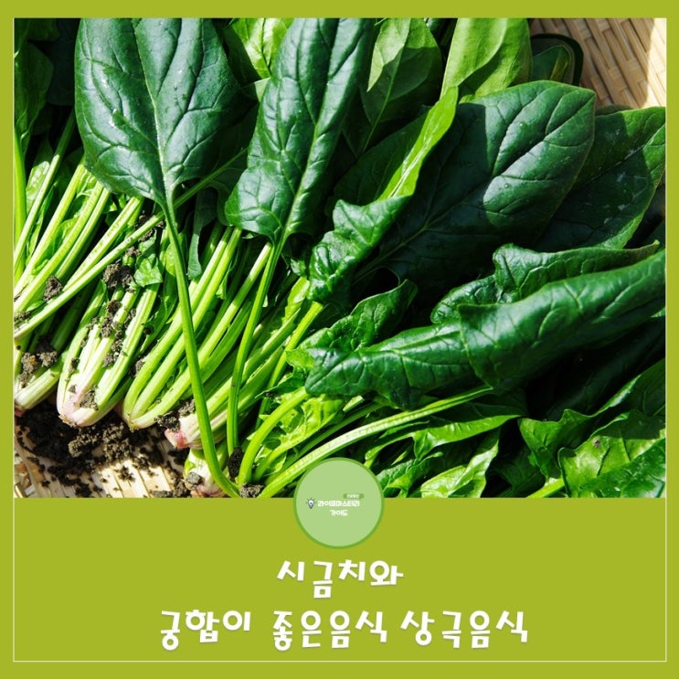  시금치와 궁합이 좋은 음식과 상극음식