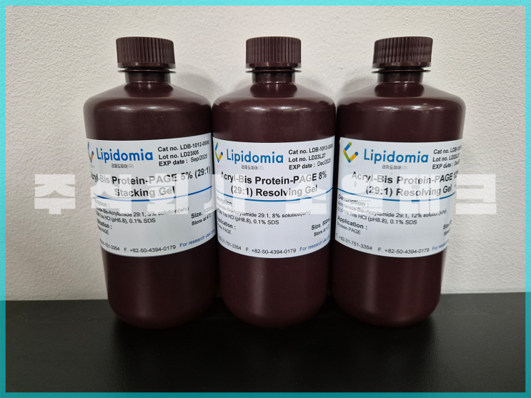  [Lipidomia] Pre-made Stacking Gel & Running Gel