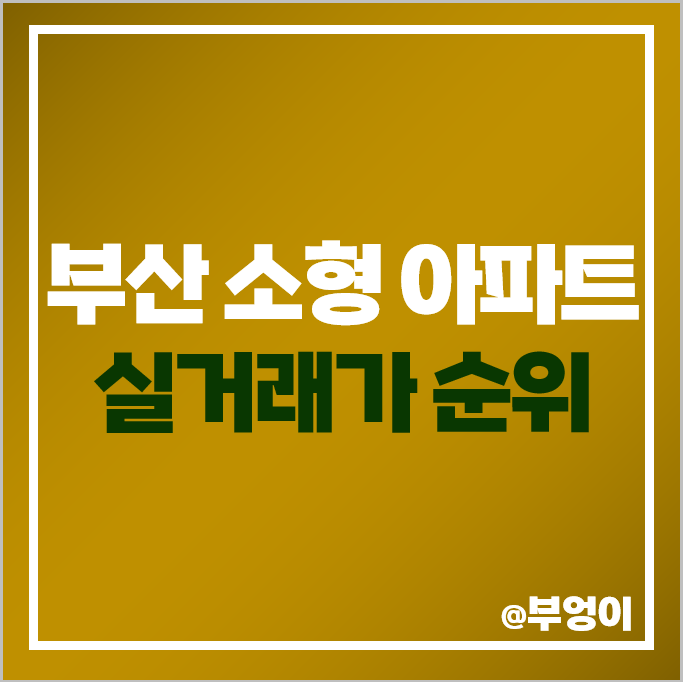 부산 소형 아파트 매매 가격 순위 남천자이 삼익비치 경남마리나 해운대자이 시세 부산 소형 아파트 매매 가격 순위 남천자이 삼익비치 경남마리나 해운대자이 시세