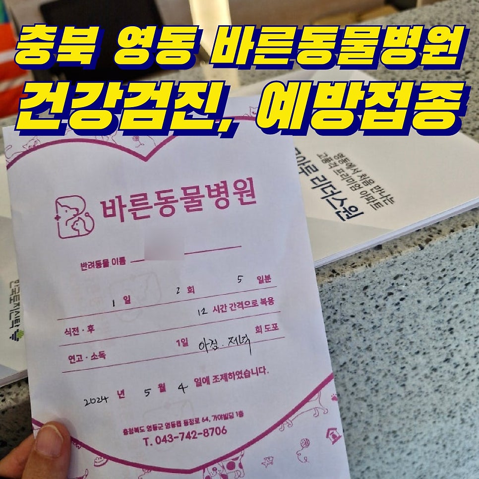 바른동물병원 사진 1