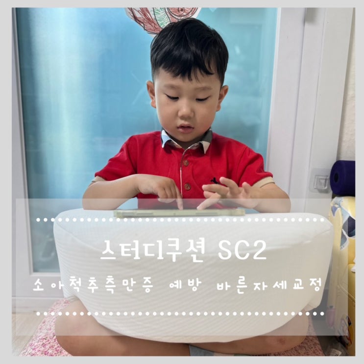 스터디쿠션 소아척추측만증 예방 바른자세교정 독서쿠션