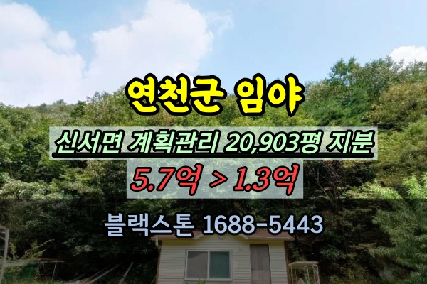  연천군 토지 경매 신서면 임야 2만평대 1억투자 경기북부임야추천