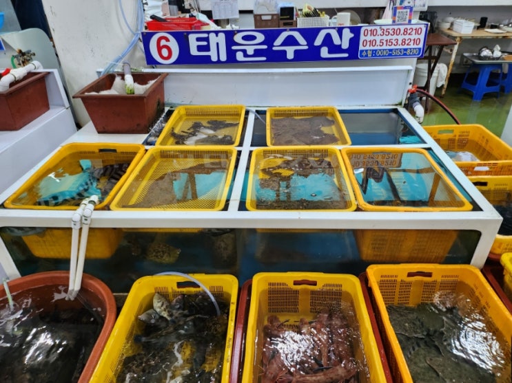  경주 감포횟집 감포수협활어직판장 6호 태운수산