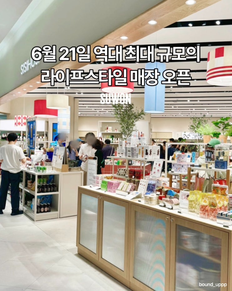 타임빌라스 수원 라이프스타일 편집샵 시시호시 (+주차)