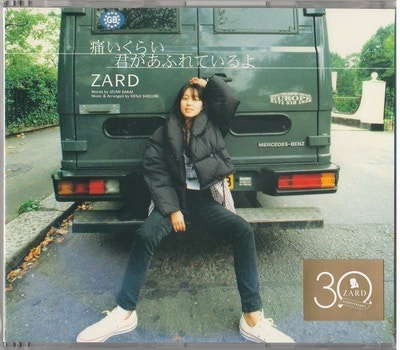 Zard - 痛いくらい君があふれているよ(CD Maxi) : 네이버 블로그