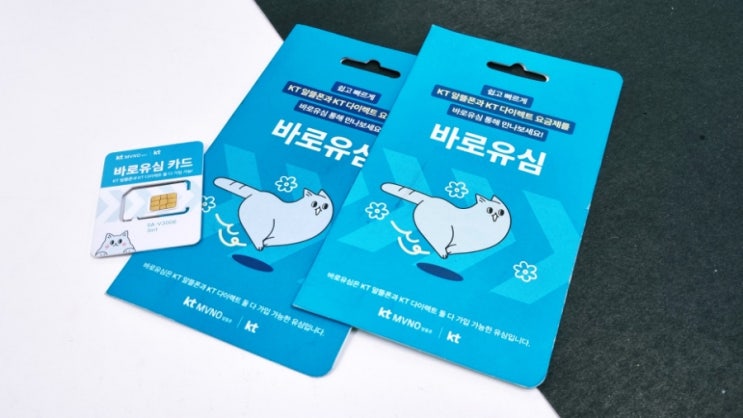  바로유심 준비하고 KT선불폰 개통 후딱 해버립시다