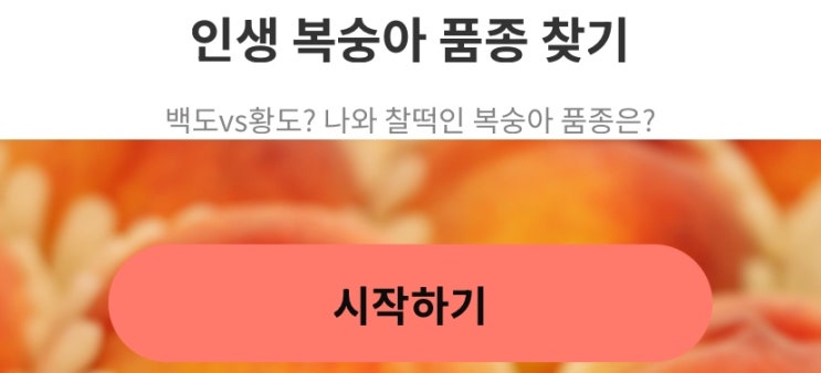  인생 복숭아 품종 찾기, 나와 찰떡인 복숭아 품종은 무엇일지 알아보기!