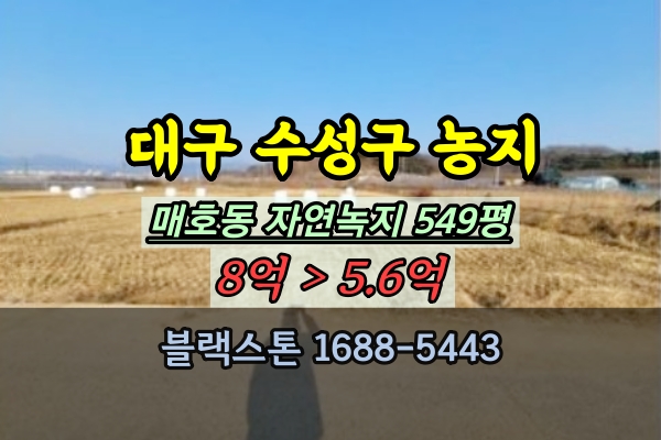  대구 수성구토지 경매 매호동 농지 500평대