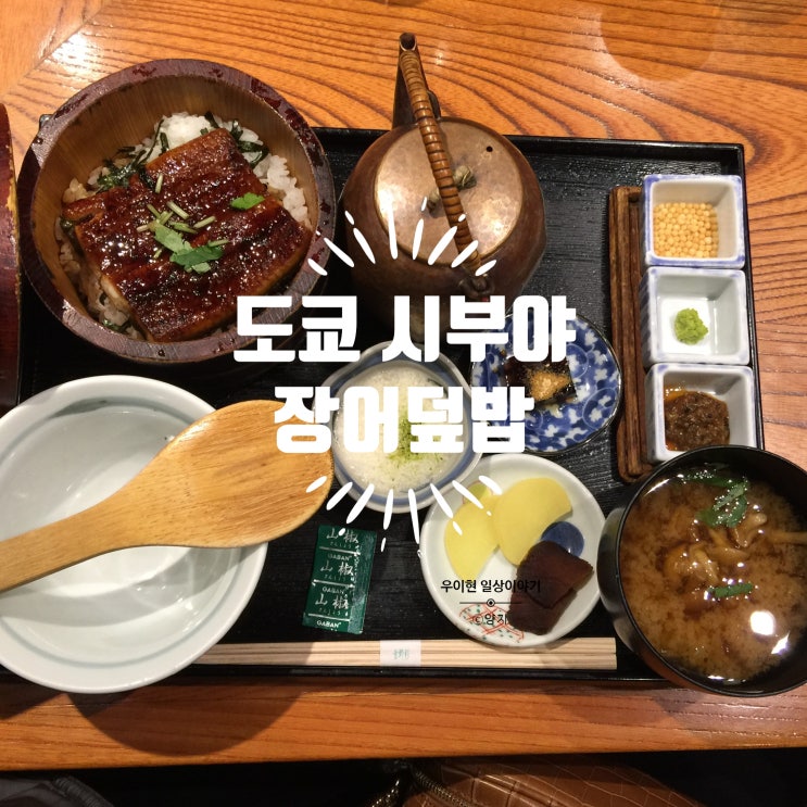  [일본] 도쿄 시부야 현지인 맛집 요요기 오히츠젠 탄보