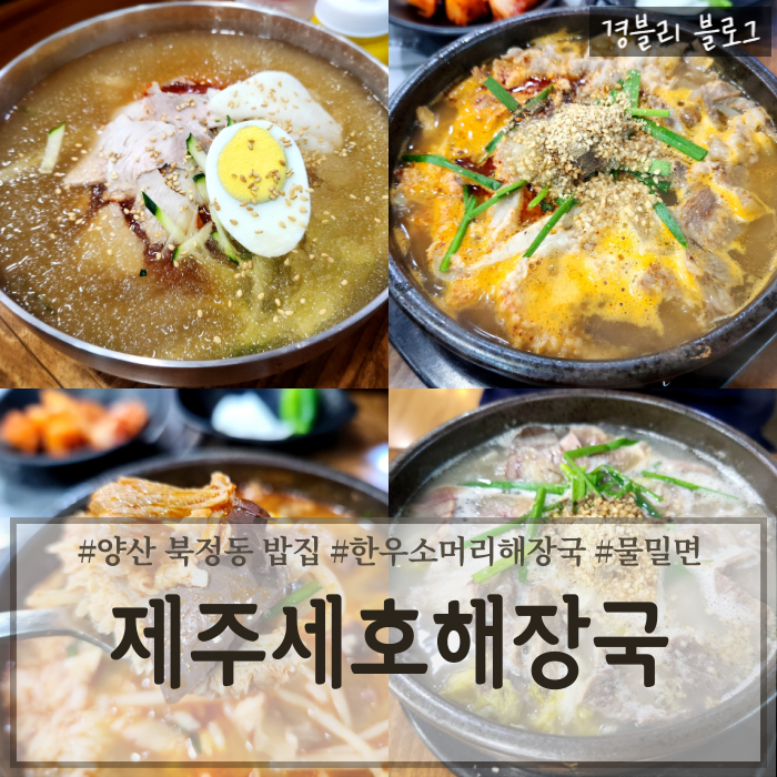  양산 북정동 밥집 미운우리새끼 얼큰내장탕맛집 '제주세호해장국 양산북정점'