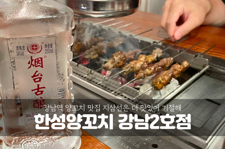  [강남역 맛집] 양꼬치는 여기서, 지삼선은 반드시 한성양꼬치 강남2호점