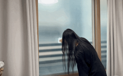  벼룩파리 퇴치하며 사는 지긋지긋한 일상..퇴치 방법 공유함
