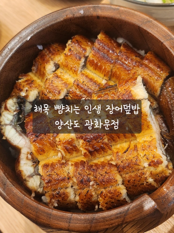  [종로 장어덮밥] 양산도 광화문점! 해목 뺨 후려치는 존맛!