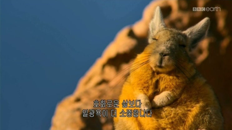  1년차 아니 2년차