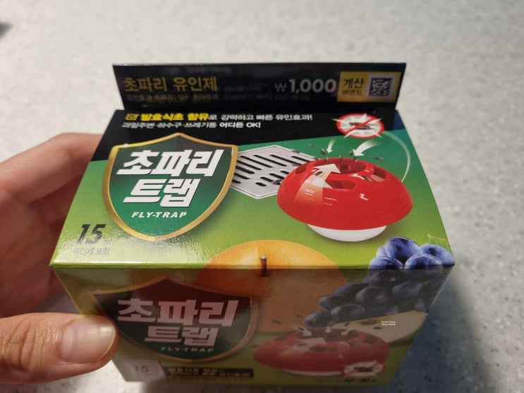  다이소 초파리트랩 사용후기! 효과있어서 재구매까지!