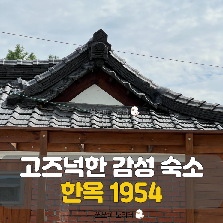  금산펜션 한옥1954에서 감성있게 즐기는 촌캉스 금산 한옥 펜션