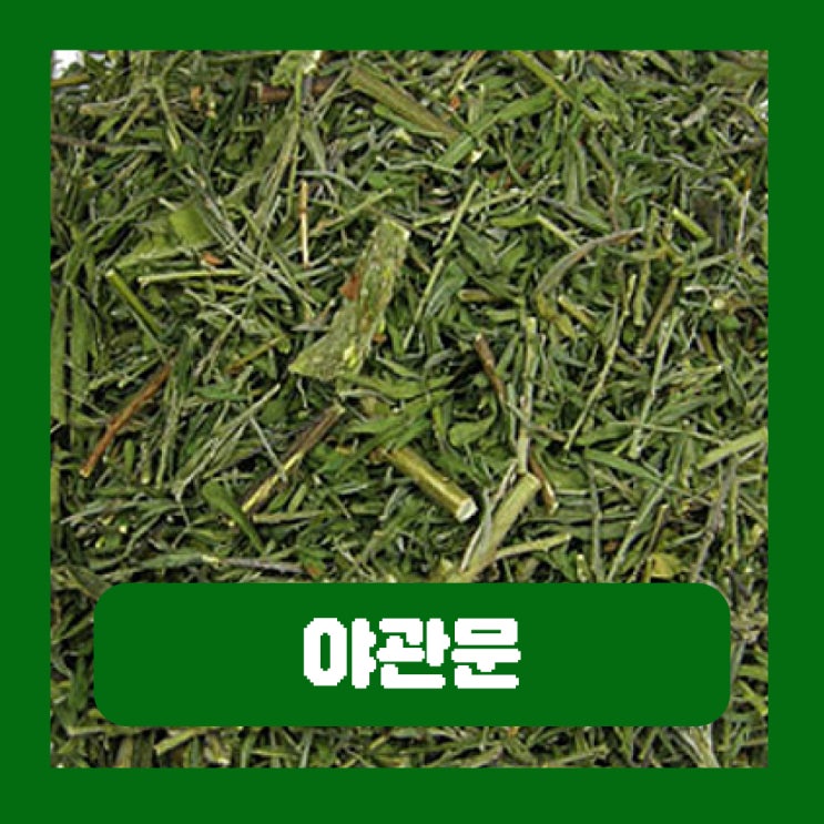  야관문 효능 비수리 먹는법 말린 야관문주 담그는법