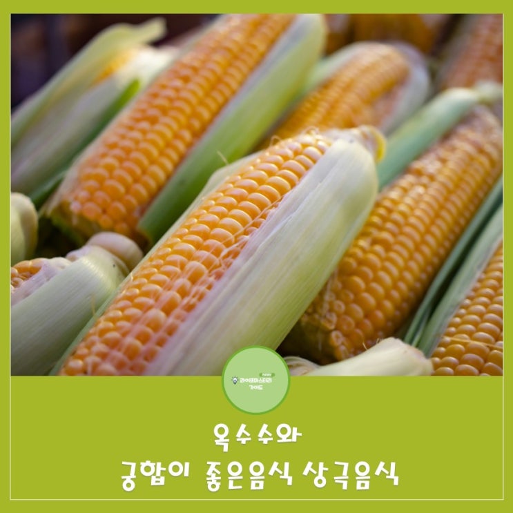  옥수수와 궁합이 좋은음식과 상극음식