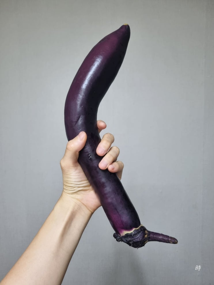  벌써부터 매미가 운다