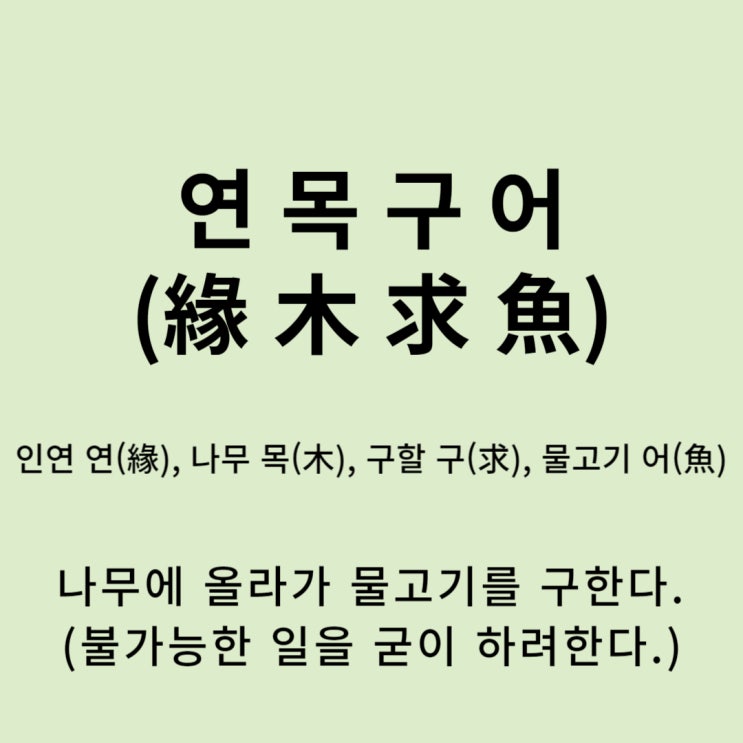  고사성어 뒤집어 보기 (31. 연목구어)