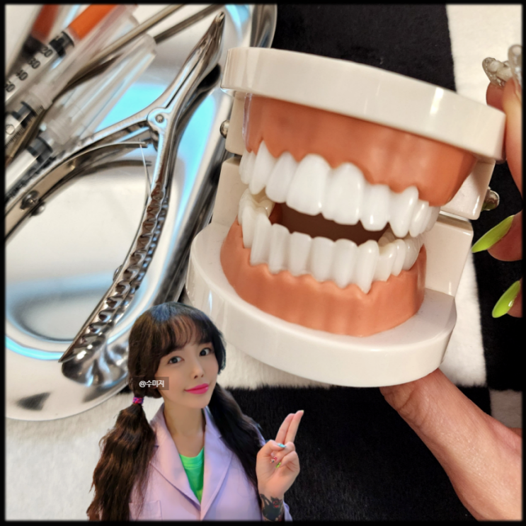  치아관리 치아 개수 구조, 법랑질 상아질 치아 뿌리 염증