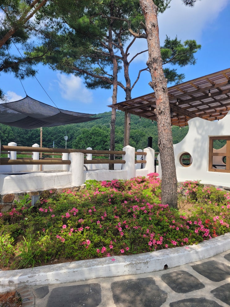  청주독채펜션 이티성풀빌라에서서 잊지 못할 멋진 추억 만들었어요!!