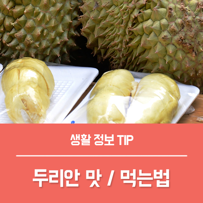  두리안 효능 TOP4, 두리안 맛 후숙 먹는법 부작용 총정리!
