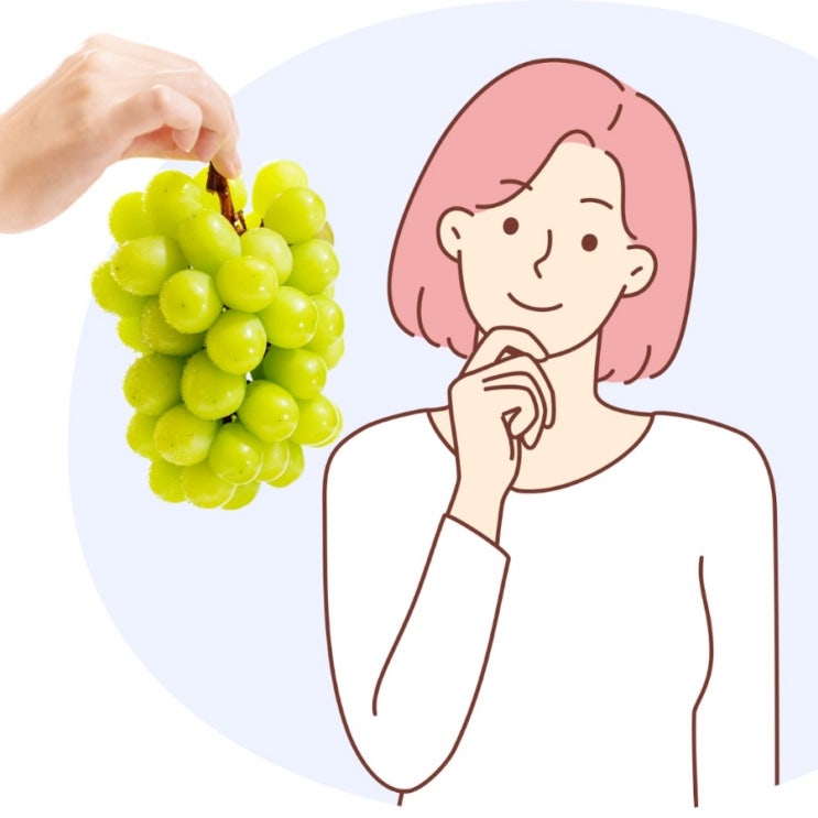  영천 포도 샤인머스켓 알아보기 검증된 영양 성분과 효능