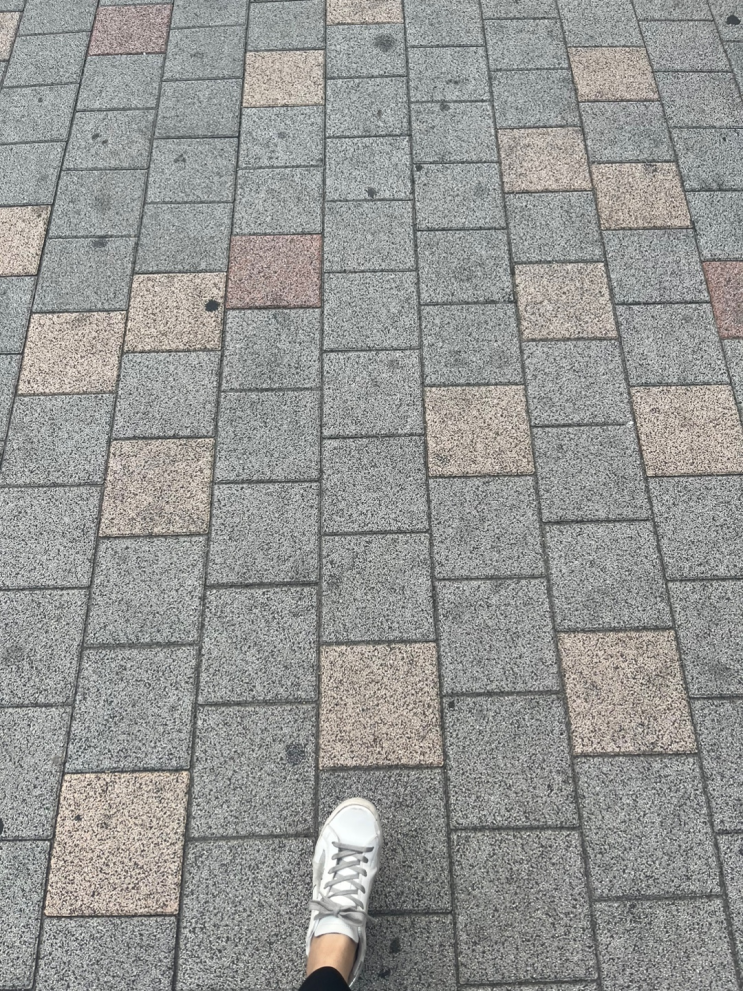  2024.06.28 오늘의운세