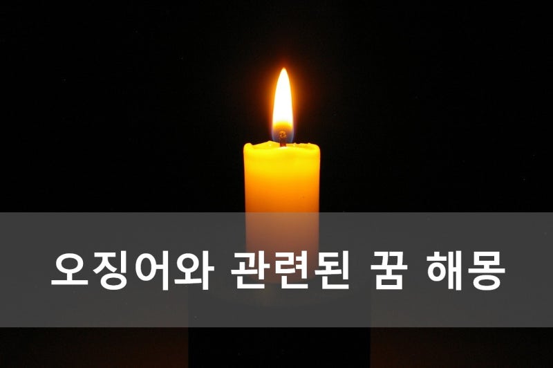 오징어와 관련된 꿈 해몽