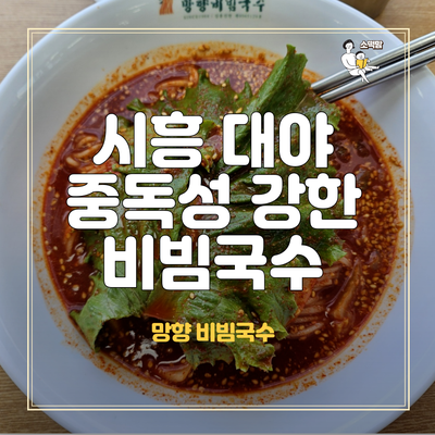  시흥 대야동 국수 맛집 나혼산 망향비빔국수 점심 메뉴 추천