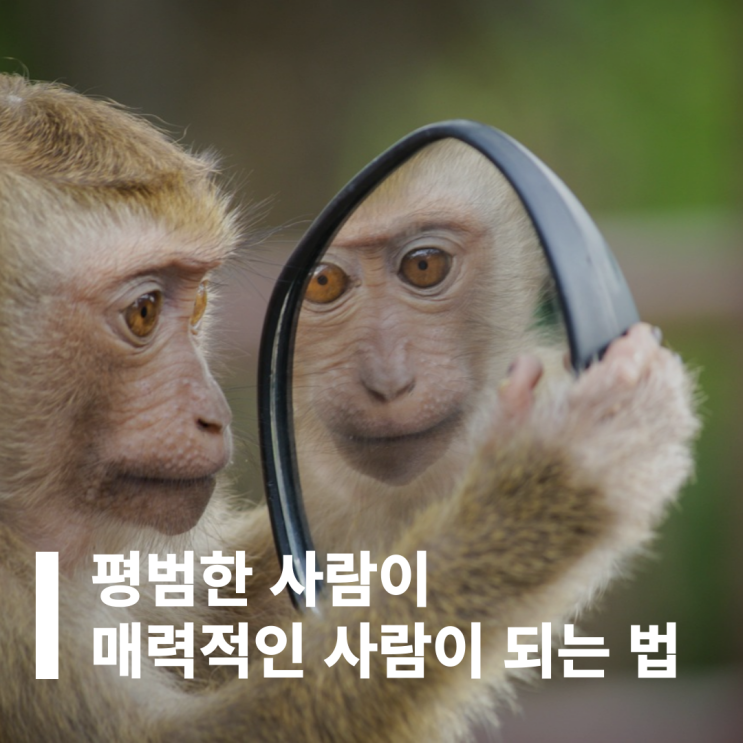  평범한 사람이 매력적인 사람이 되는 법