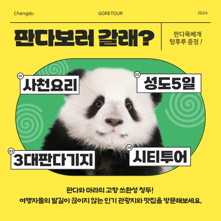   성도 5일  l  판다의 고향 쓰촨성 청두 여행  (+핵심여행,맛집,온천,판다) 