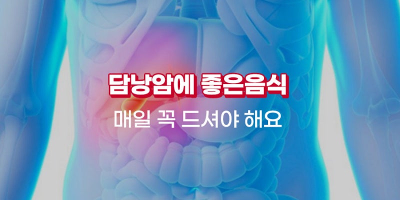 담낭암에 좋은 음식 천연 식품으로 드세요!
