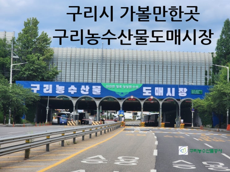  구리농수산물도매시장 과일 농산물 경매현장 구리시 가볼만한곳