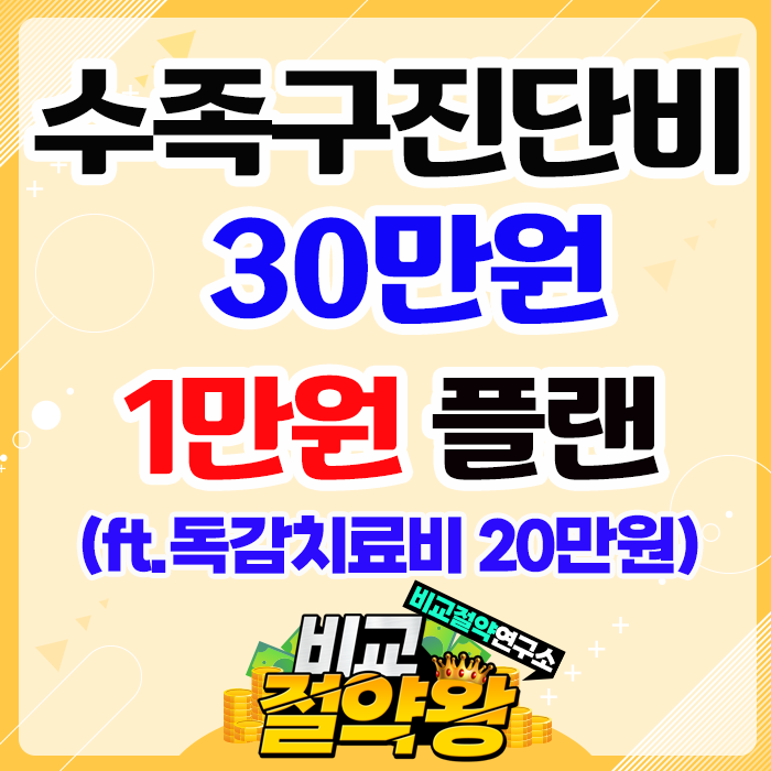  케이비 메리츠 수족구진단금 30만원 1만원플랜