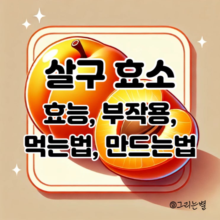  살구 효소의 모든 것: 효능, 부작용, 칼로리, 보관법 총정리