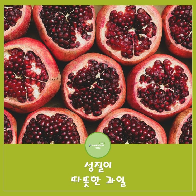  성질이 따뜻한 과일 알아보기