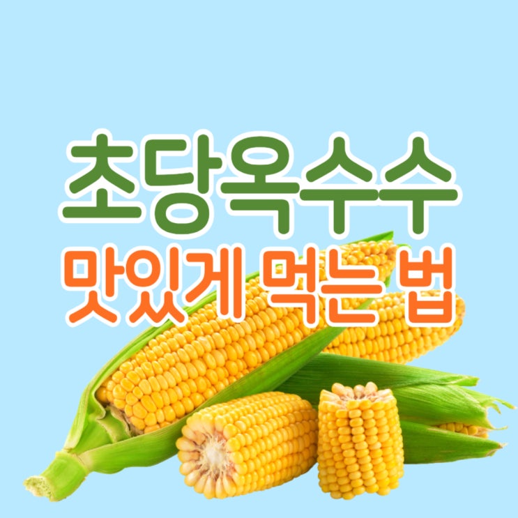  초당옥수수 뜻, 고르는법, 먹는법, 주의할 점!