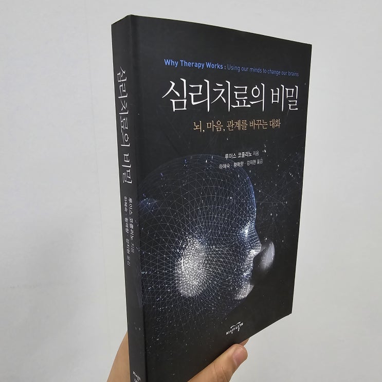  심리치료의 비밀: 뇌, 마음, 관계를 바꾸는 대화