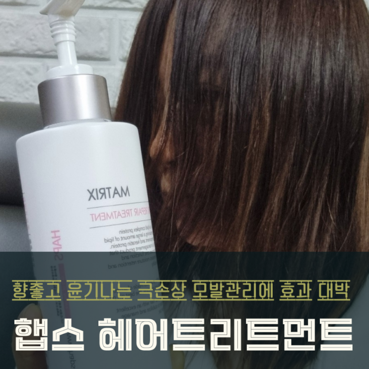  햅스 헤어 트리트먼트로 윤기나는 극손상 모발관리