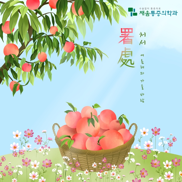 24<b>절기</b> 중 14번째 <b>절기</b>, <b>처서</b> : 가을의 시작을 알리는 <b>절기</b>