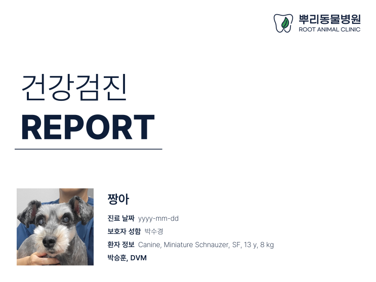  뿌리동물병원의 건강검진 프로그램
