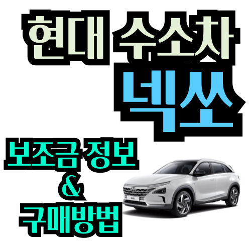  현대 수소차 넥쏘 보조금 정보 및 구매 방법