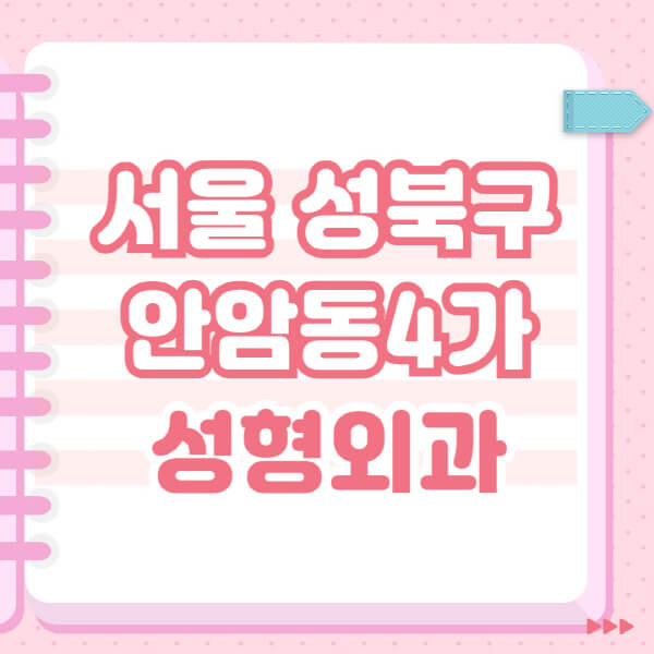  성북구 안암동4가 성형외과, 유명한 곳 추천과 일요일 전문의 블랙리스트
