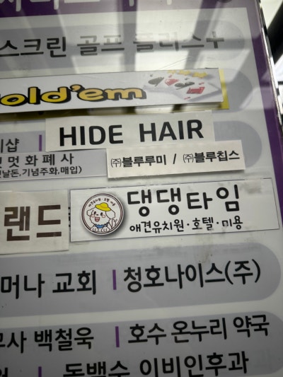 사진 3