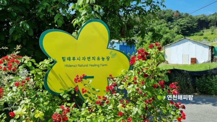  포천여행 가볼만한곳 오감치유프로그램 힐데루시 자연치유농장