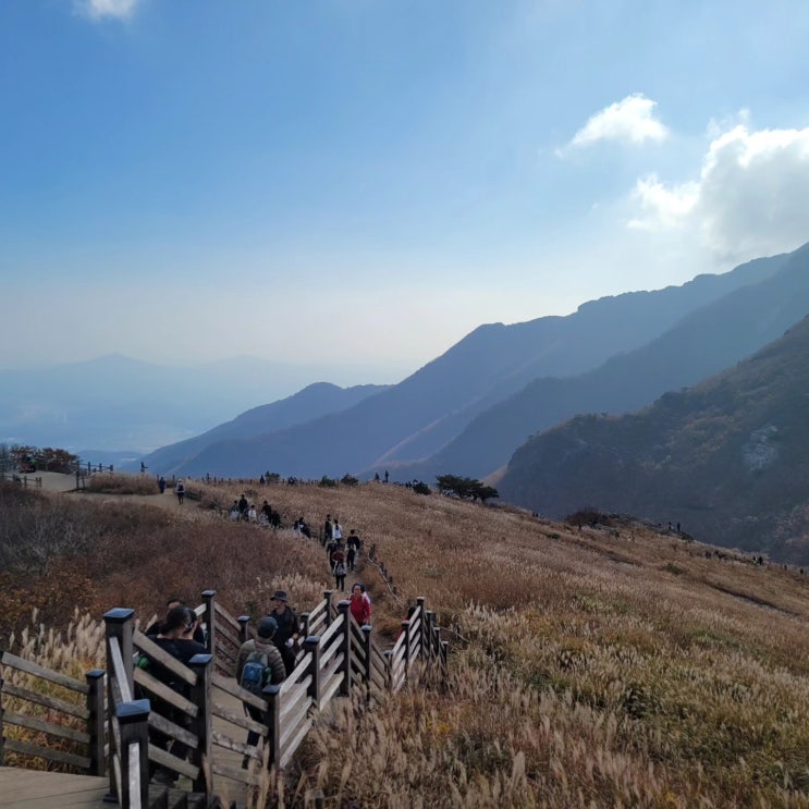  2023 UTNP 울주트레일나인피크 1 peak 돌아보기